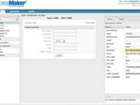 Product picture Business Process Management (BPM)